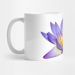 Water Lily Mug